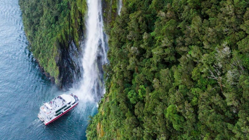 Take in the majestic beauty of Milford Sound in style on board our stylish, purpose built catamaran...